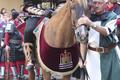 Embajada cristiana. Moros y Cristianos. Ontinyent