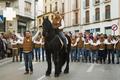MIg Any Moros y Cristianos Ontinyent
