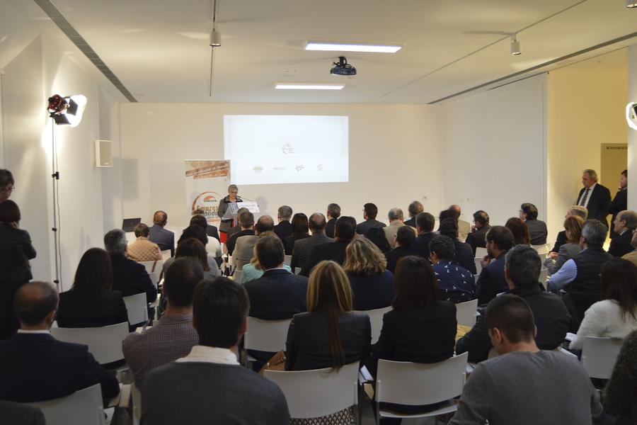 Trèvol premios empresa solidaria