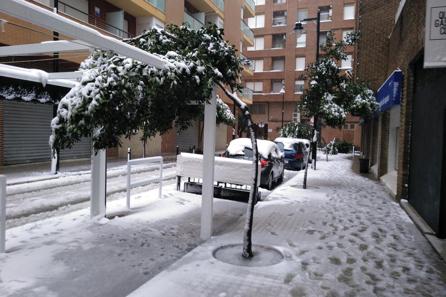 Nevada en Ontinyent