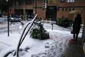 Nevada en Ontinyent 2020