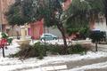 Nevada en Ontinyent 2020