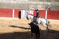 Corrida de toros, con Pablo Donat, Ruiz Muñoz y Víctor Hernández. Bocairent