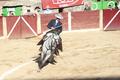Corrida de toros, con Pablo Donat, Ruiz Muñoz y Víctor Hernández. Bocairent