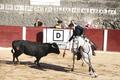 Corrida de toros, con Pablo Donat, Ruiz Muñoz y Víctor Hernández. Bocairent