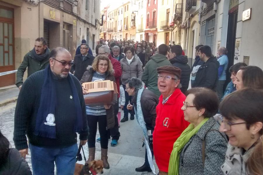 Bendición de los animales en las fiestas de Sant Antoni Ontinyent