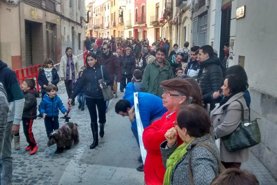 Bendición de los animales en las fiestas de Sant Antoni Ontinyent