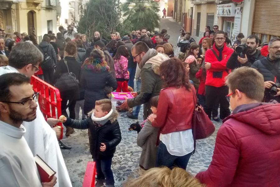 Bendición de los animales en las fiestas de Sant Antoni Ontinyent