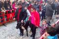 Bendición de los animales en las fiestas de Sant Antoni Ontinyent