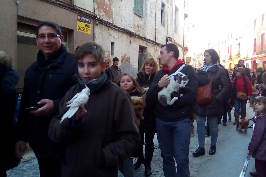 Bendición de los animales en las fiestas de Sant Antoni Ontinyent