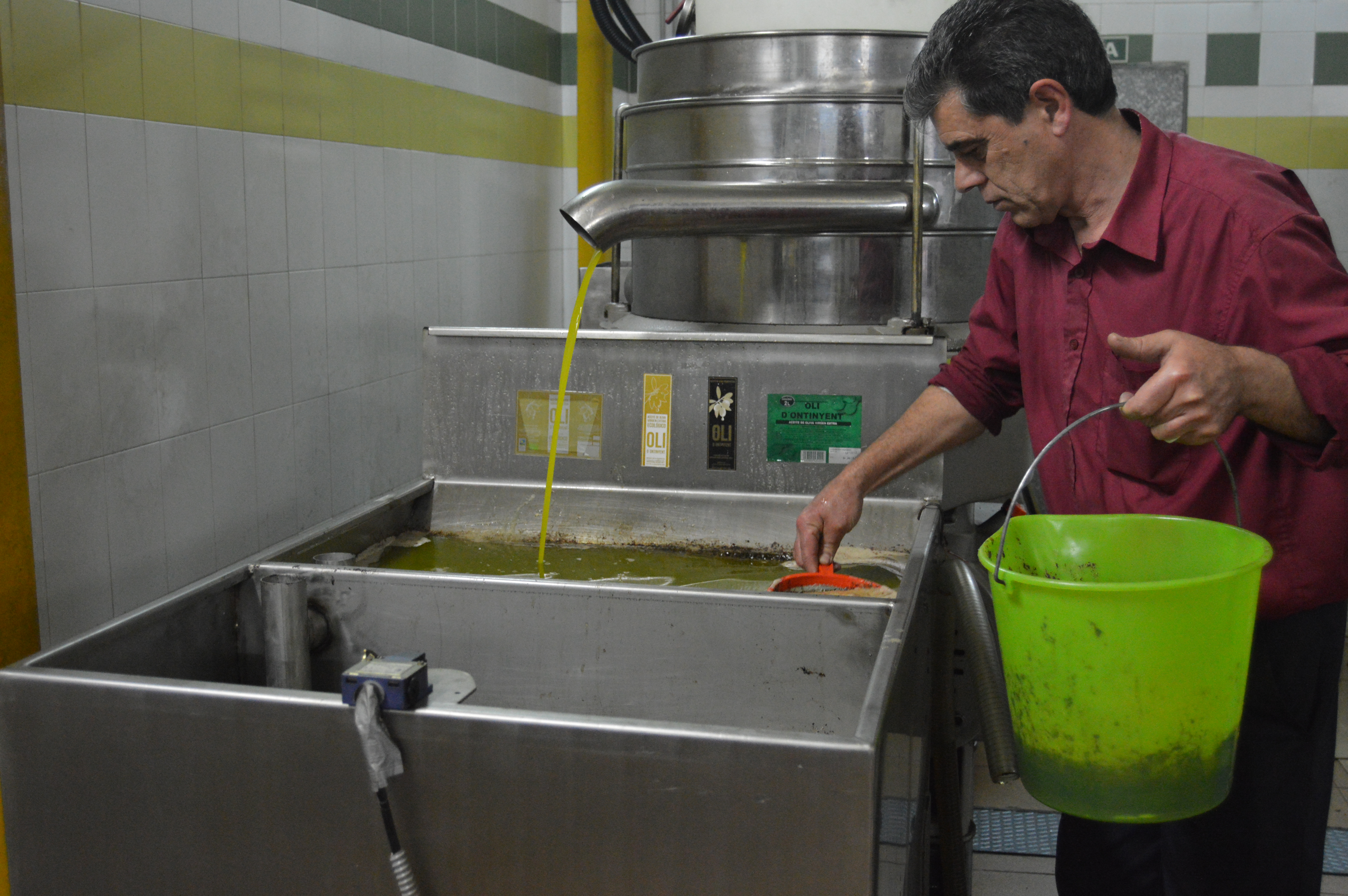 Elaboración del aceite en la Cooperativa de Ontinyent
