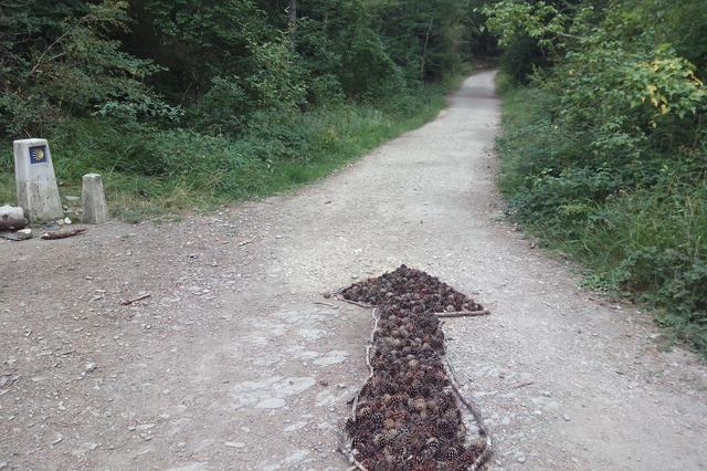 Camino de Santiago