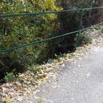 Bocairent habilita una ruta saludable en las proximidades del casco urbano