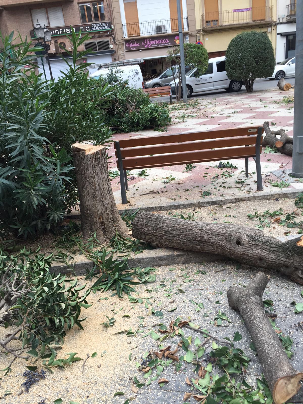 Los trabajos se han realizado esta mañana