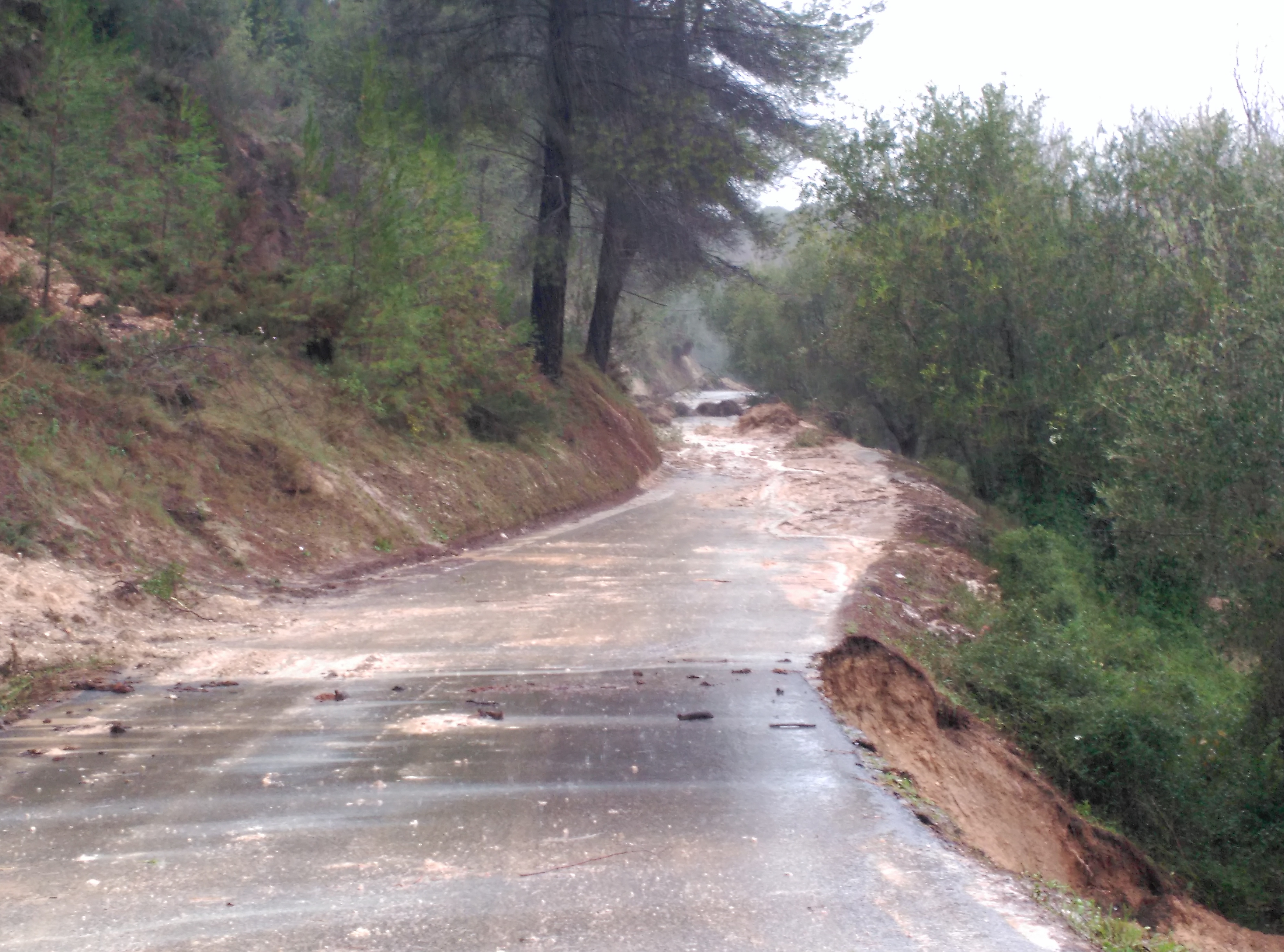 Camino de la Purísima