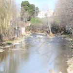 Ontinyent insta a la CHJ a que limpie el cauce del río