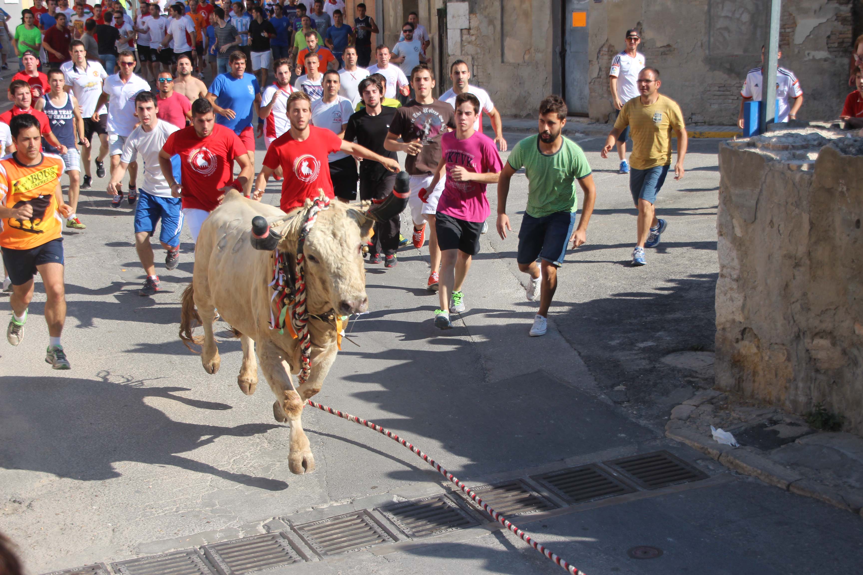 Bou de les Penyes. Foto: Arxiu