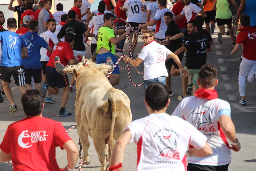 Bou de les penyes, Ontinyent