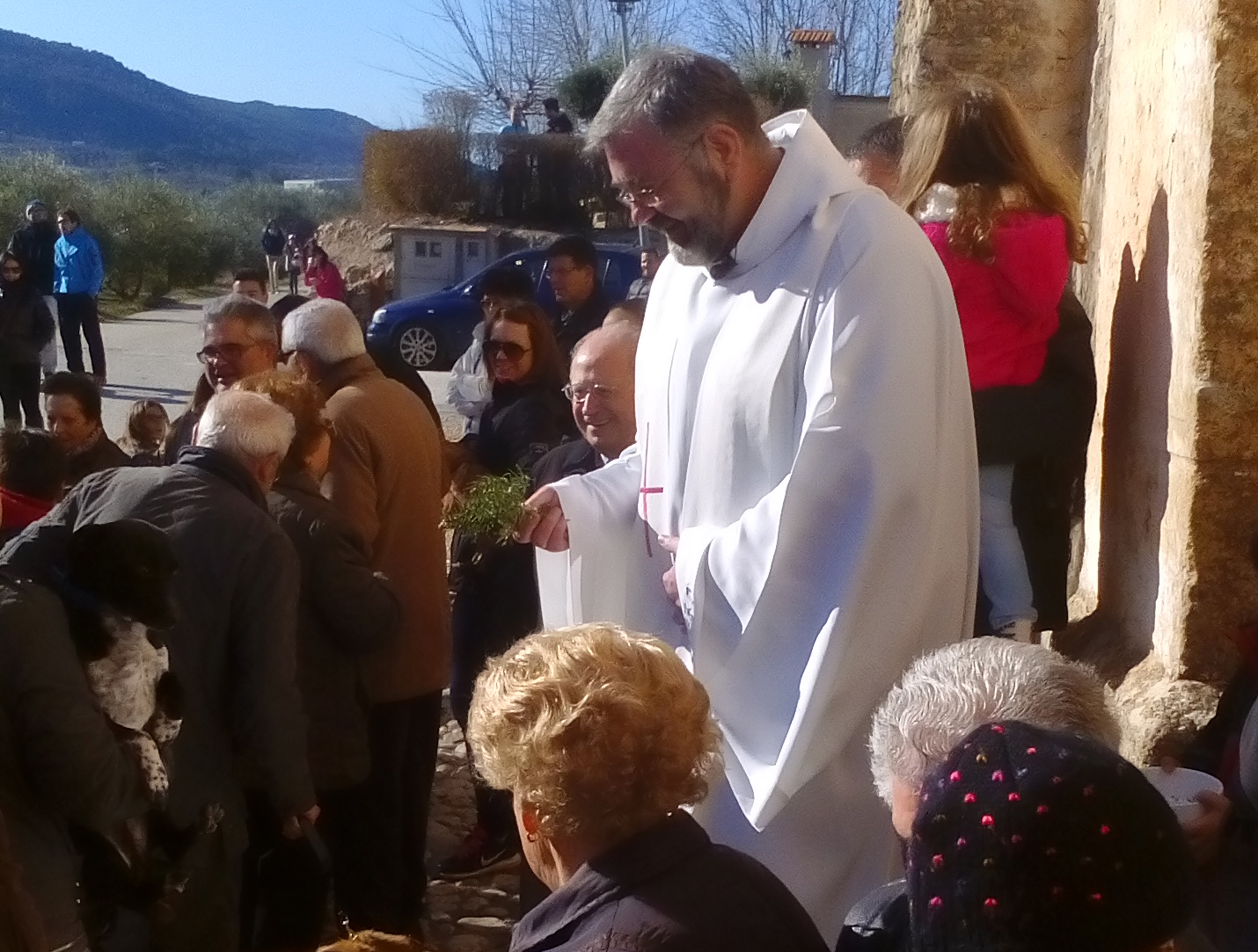 Bendición de los animales