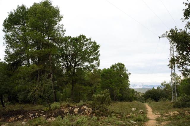 Bocairent adquiere una parcela de 27.500 m2 en la sierra de Mariola