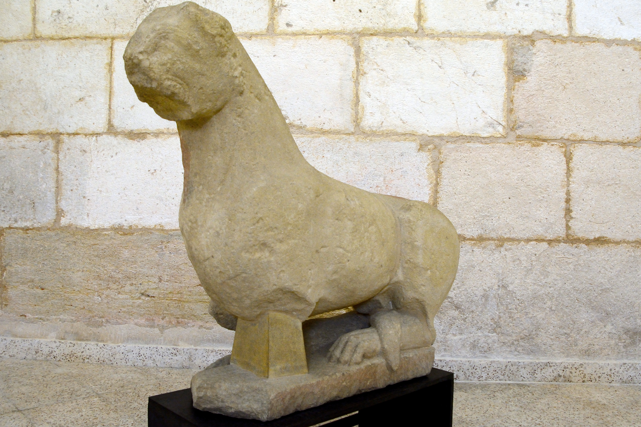 León ibérico de Bocairent