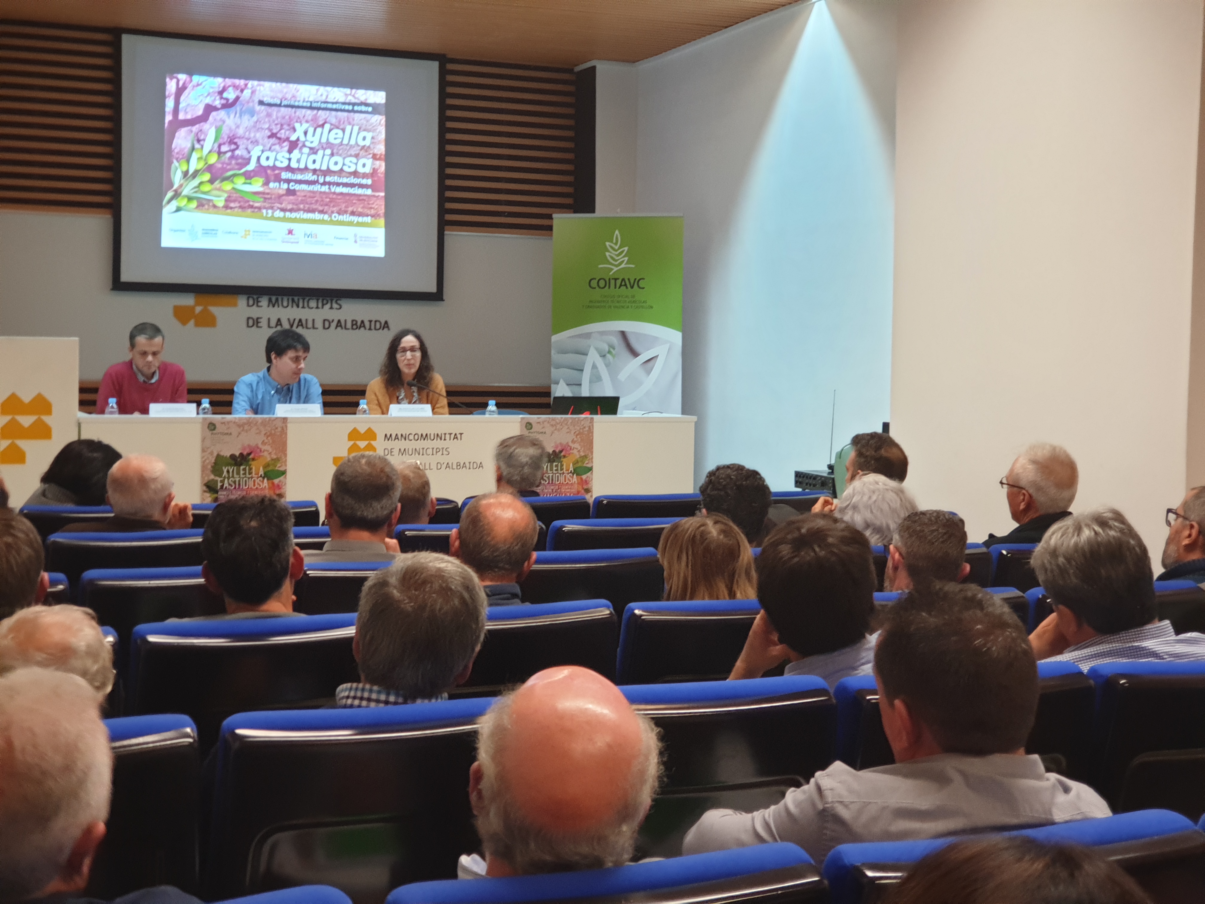 Jornada sobre la Xylella