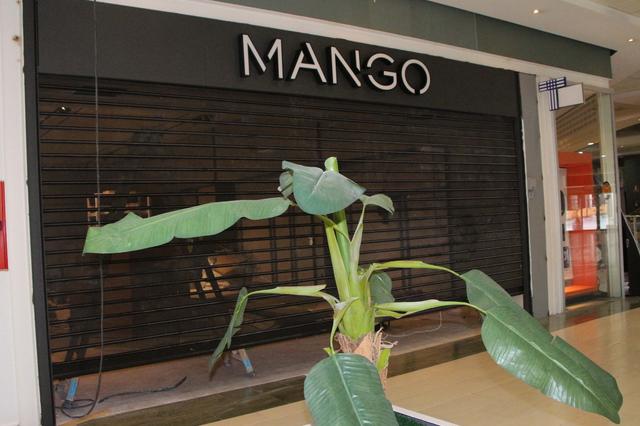 La apertura de Mango en El Teler ya tiene fecha