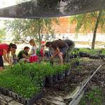 Caixa Ontinyent, implicación medioambiental
