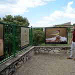 Bocairent acerca la naturaleza en la conmemoración del Día mundial del medio ambiente