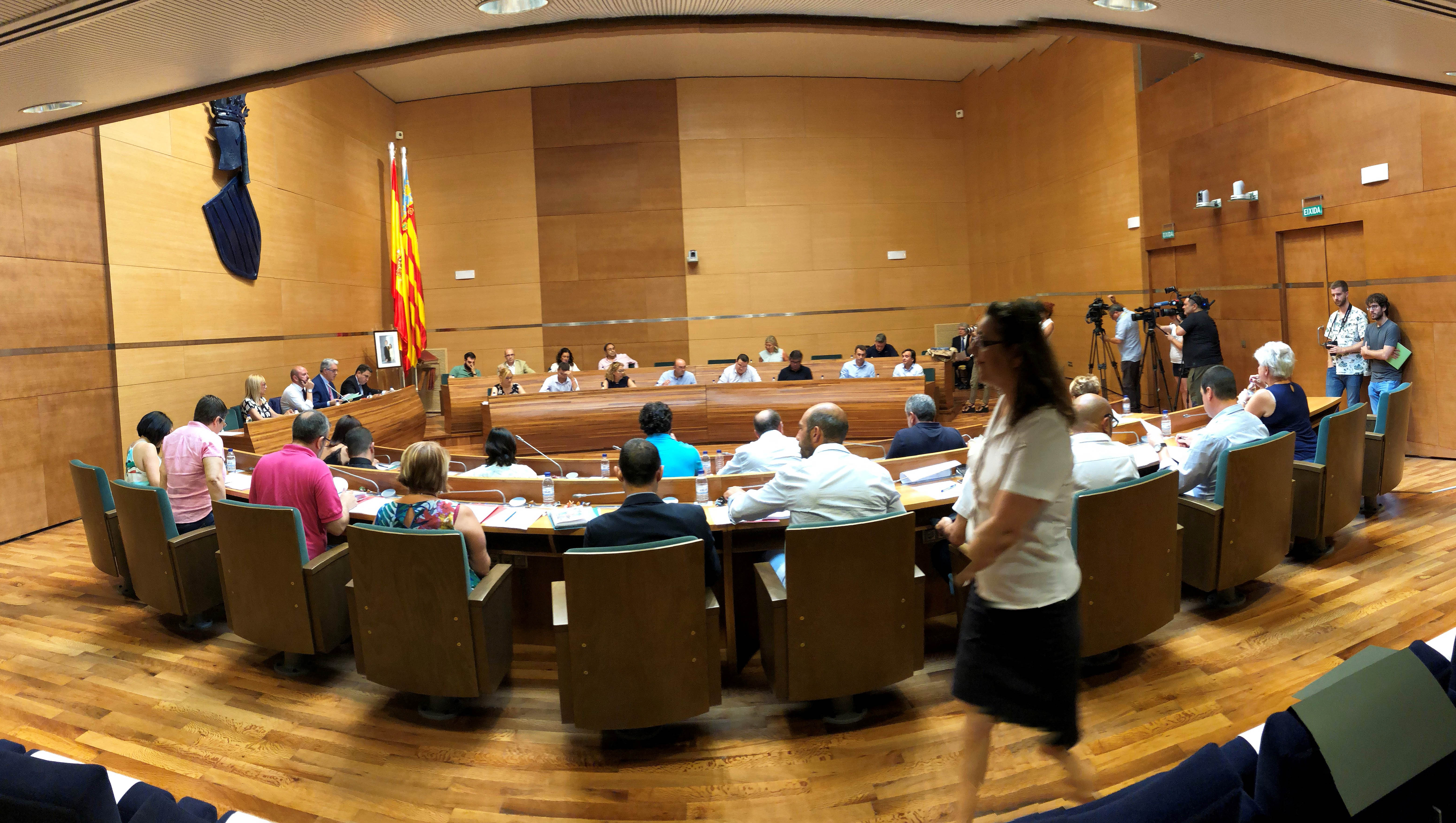 Pleno de la Diputación