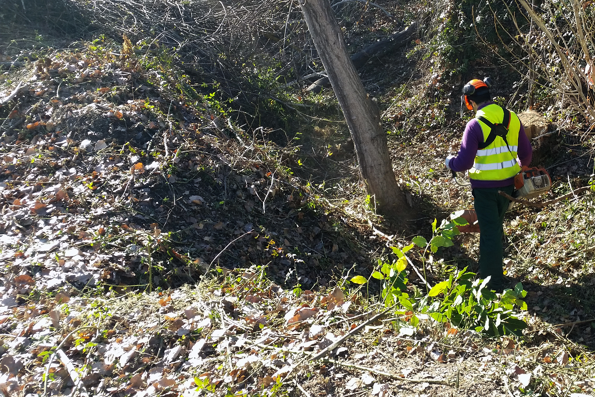 Brigada forestal de Bocairent