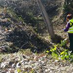 Bocairent recibe 87.000 euros para la contratación de una nueva brigada forestal
