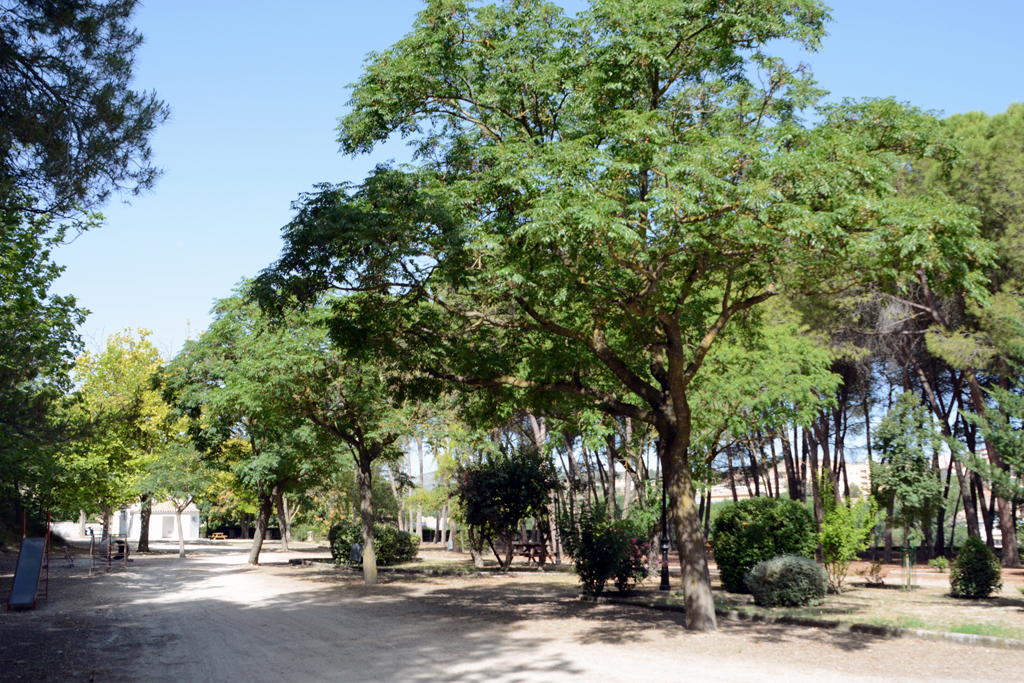 Parque de l'Estació. Bocairent