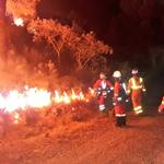 L'incendi de Llutxent crema quasi 1.000 hectàrees