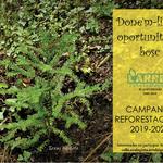 L'Arrel inicia la temporada de reforestaciones