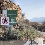 El COVID-19 i la pesta bubònica de 1600 a Ontinyent
