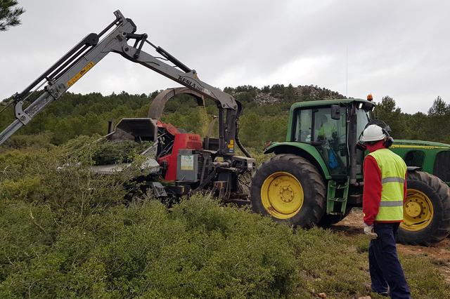 Bocairent ejecuta las franjas de seguridad del Plan local de prevención de incendios forestales