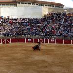 Descuentos y encuentro de peñas taurinas en Bocairent