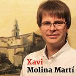Xavi Molina obtiene 8 de 11 concejales en Bocairent