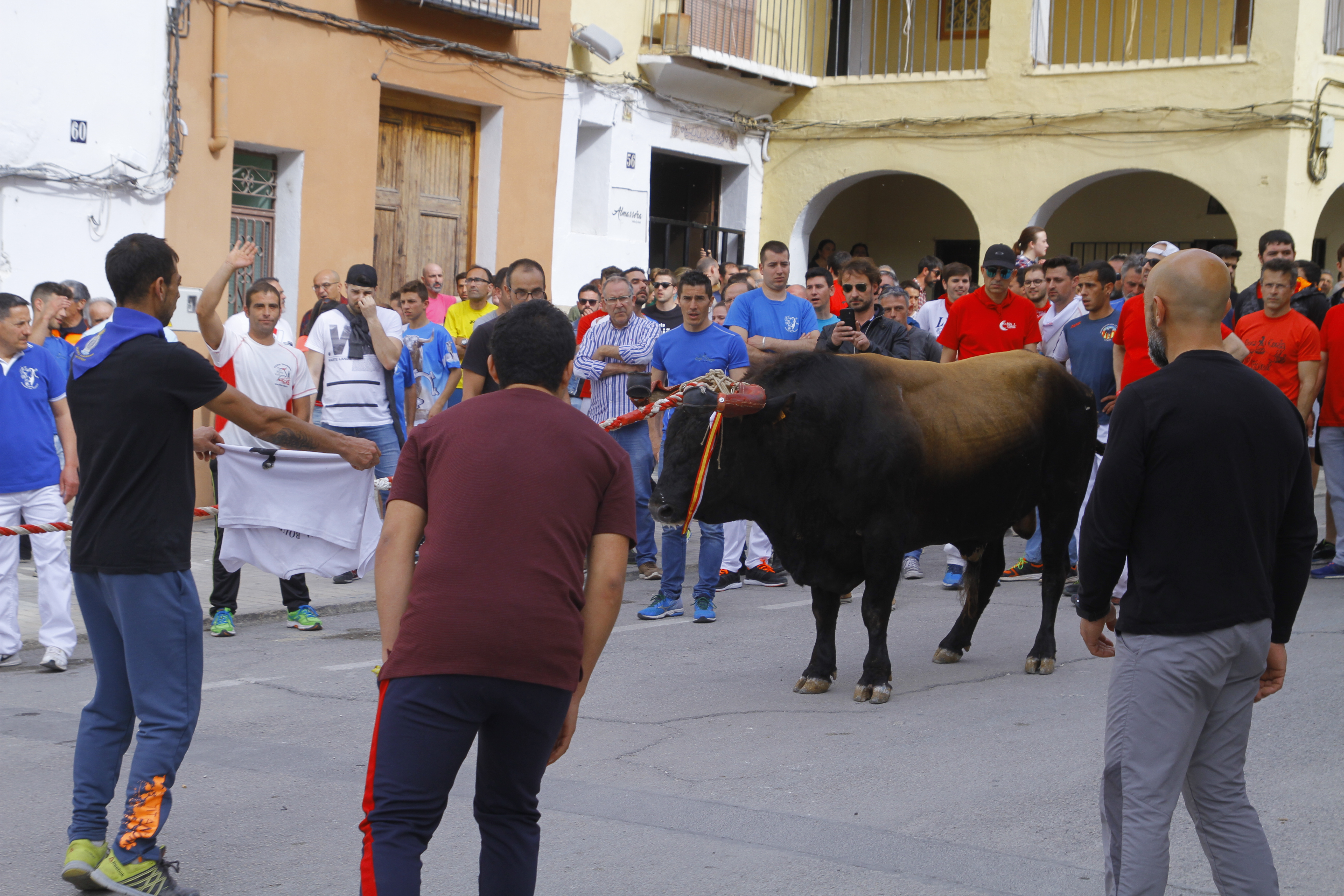 Bou de les penyes. Ontinyent