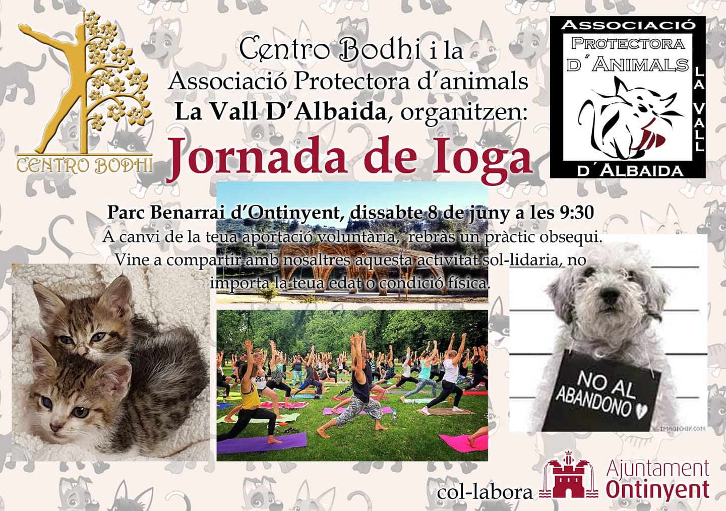 Cartel de la actividad