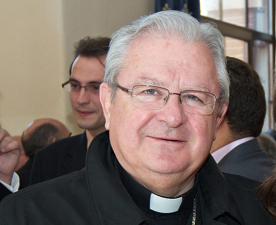 Javier Salinas, obispo auxiliar de Valencia