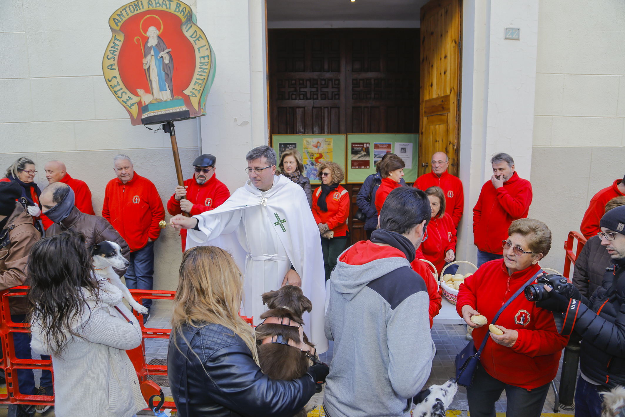 Sant Antoni. Ontinyent