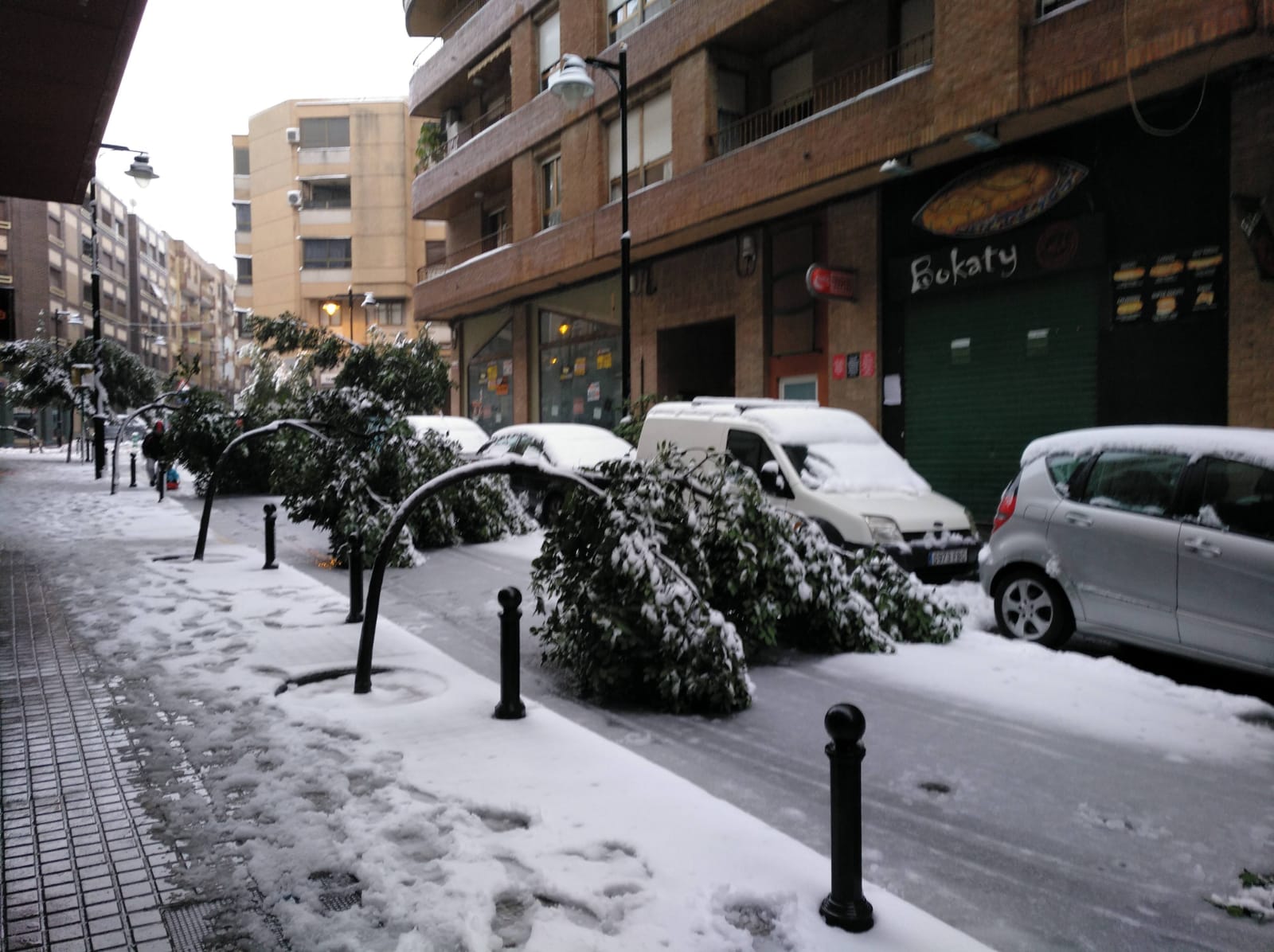Arbres afectats per la neu a Ontinyent