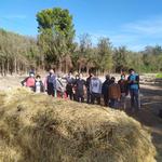 Albaida estrena un "marketplace" en Navidad