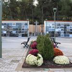 El servei d'atenció a la gent gran d'Ontinyent supera les 430 intervencions