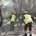 Divalterra participará en el desarrollo de territorios inteligentes en la provincia de Valencia 