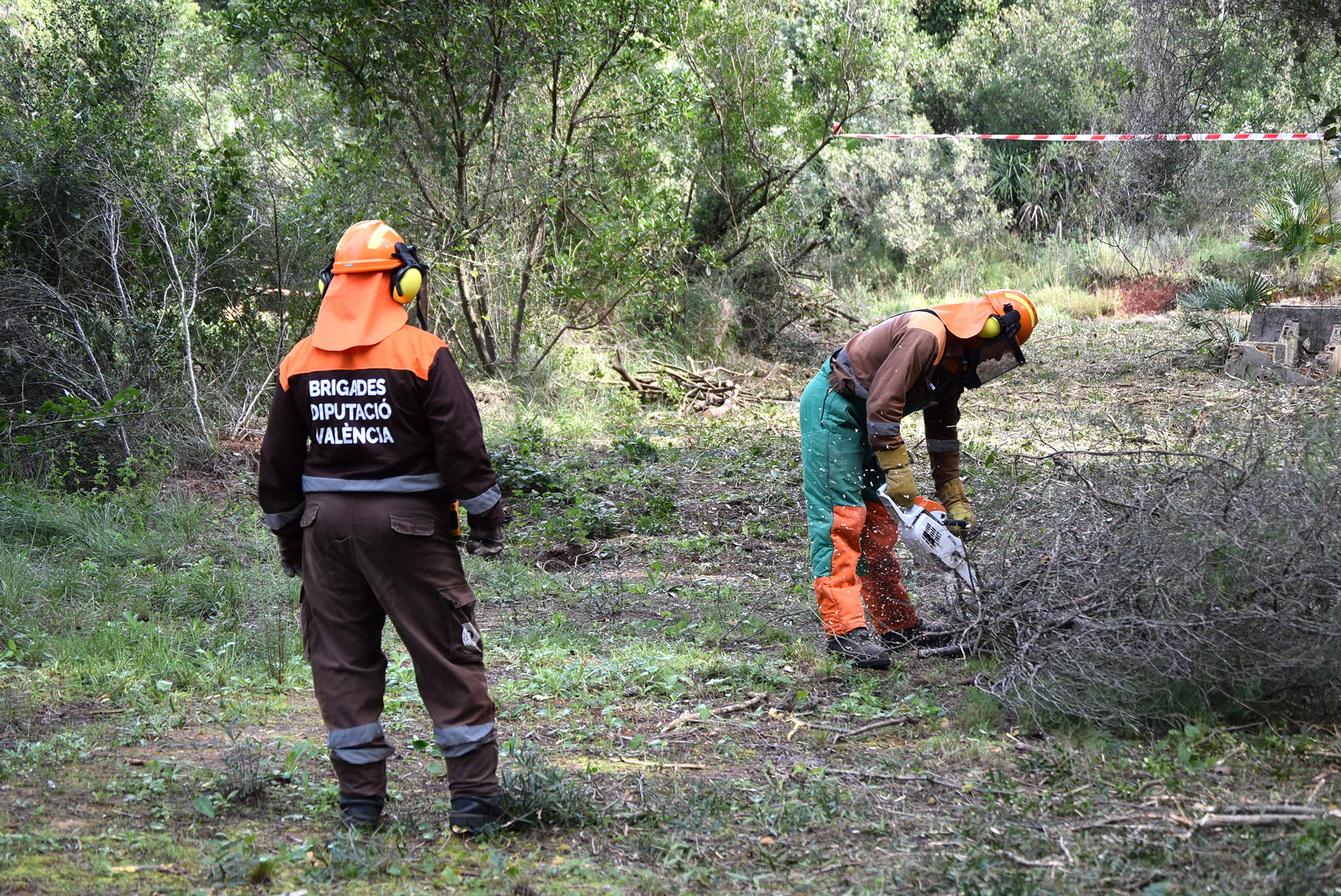 Miembros de la brigada realizando trabajos preventivos 