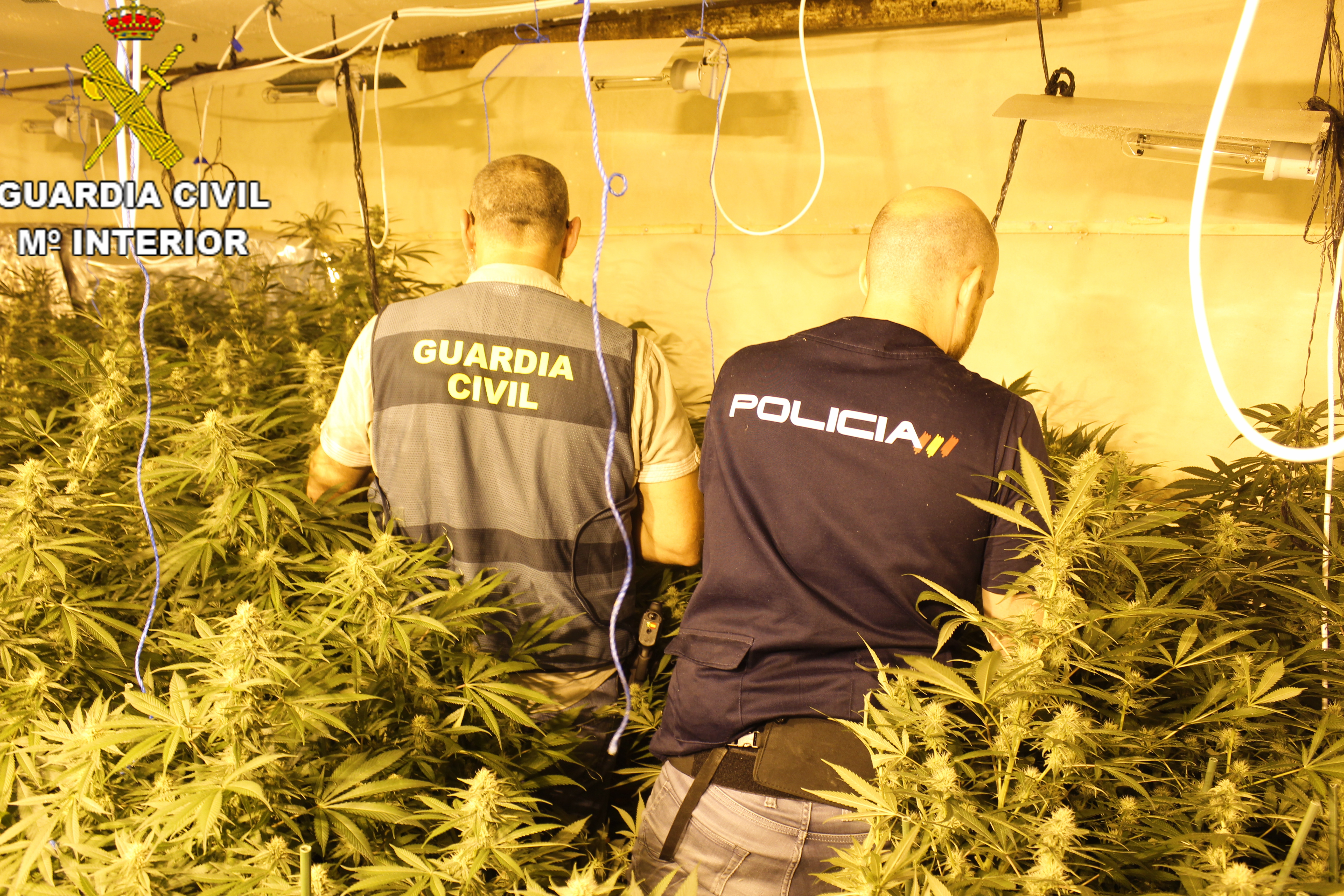 Foto: Guardia Civil