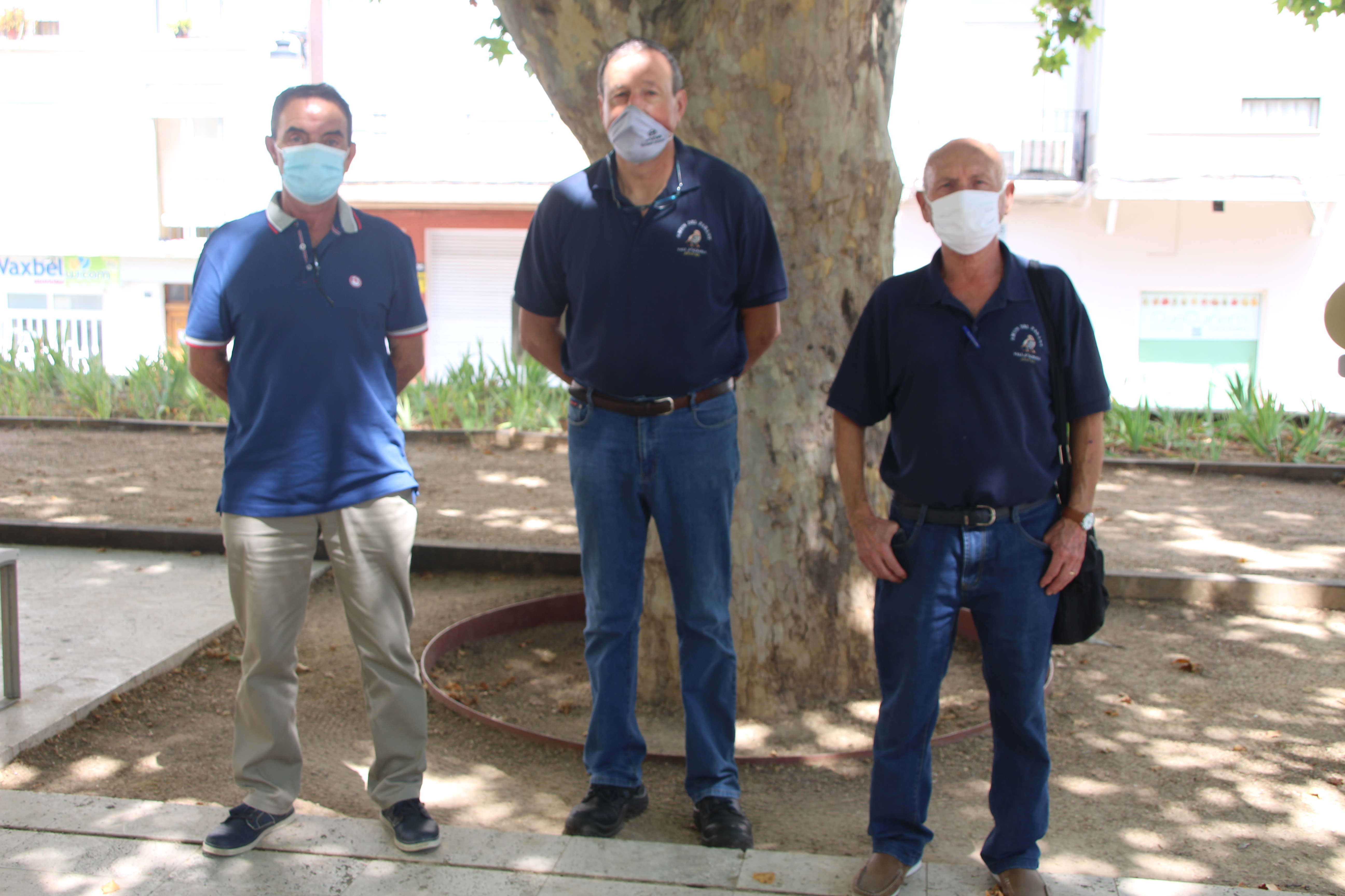 Una representació dels paranyers d'Ontinyent